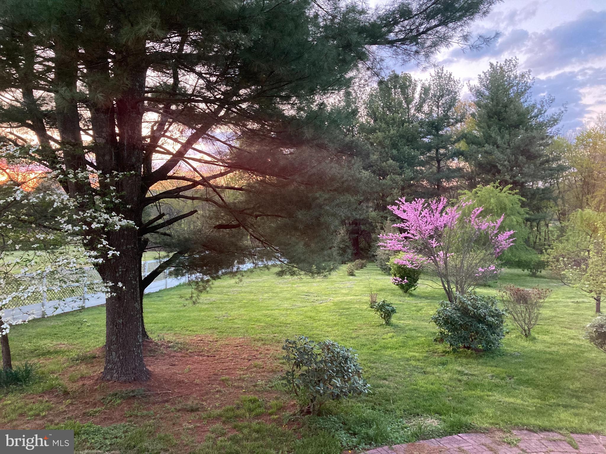 PANCOAST - Residential