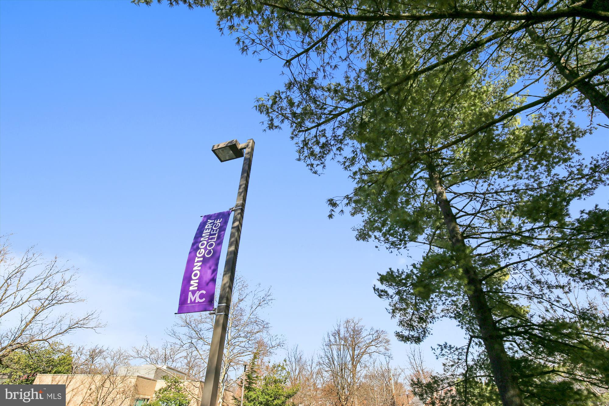 TAKOMA PARK - Residential
