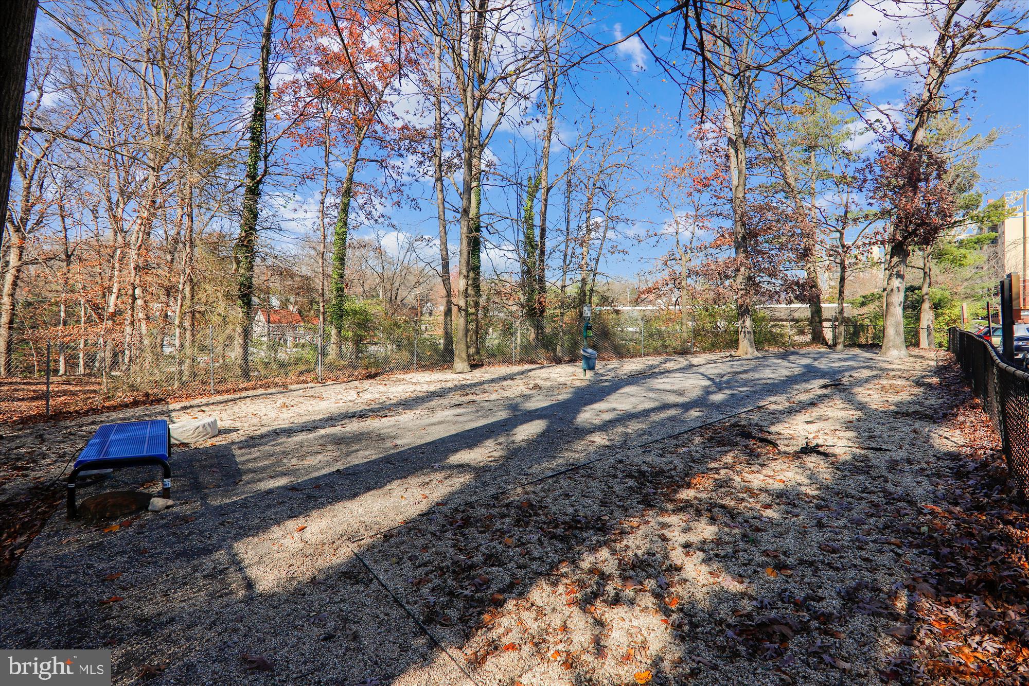 TAKOMA PARK - Residential