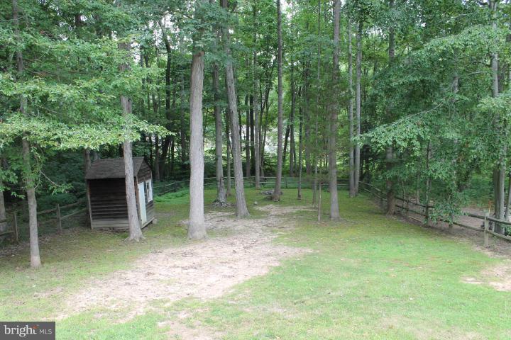 PLANTATION FOREST - Residential Lease