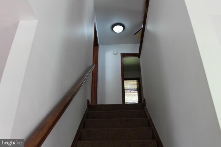 PLANTATION FOREST - Residential Lease