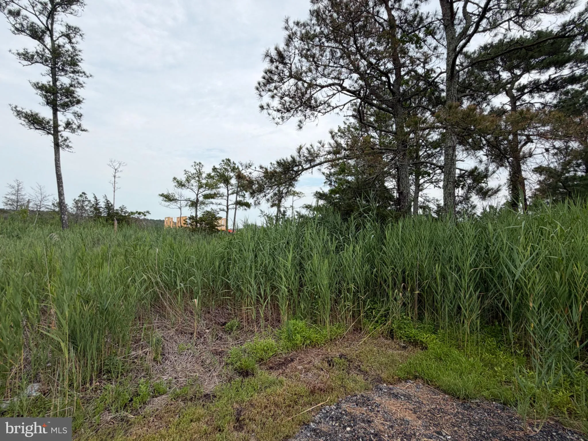 Additional image 94 of 28231 Cannon Drive, Millsboro, DE 19966
