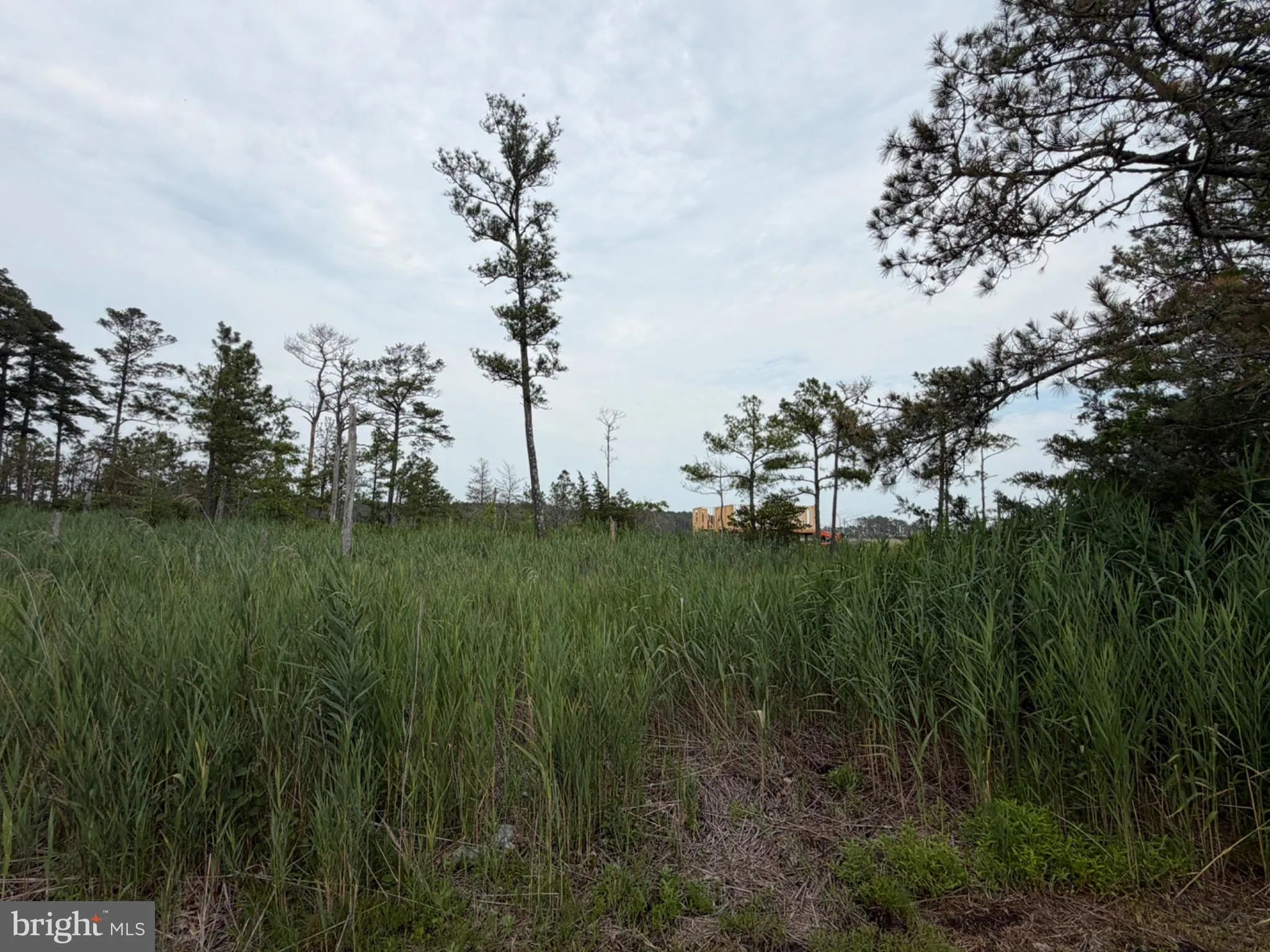 Additional image 95 of 28231 Cannon Drive, Millsboro, DE 19966