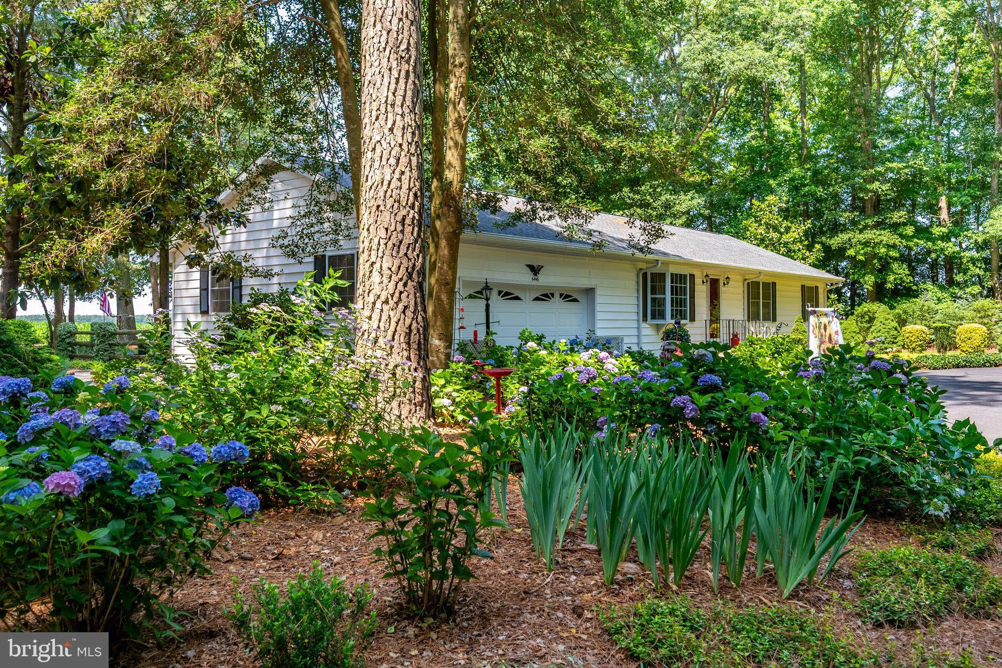 Additional image 88 of 6446 Ayres Lane Road, Snow Hill, MD 21863
