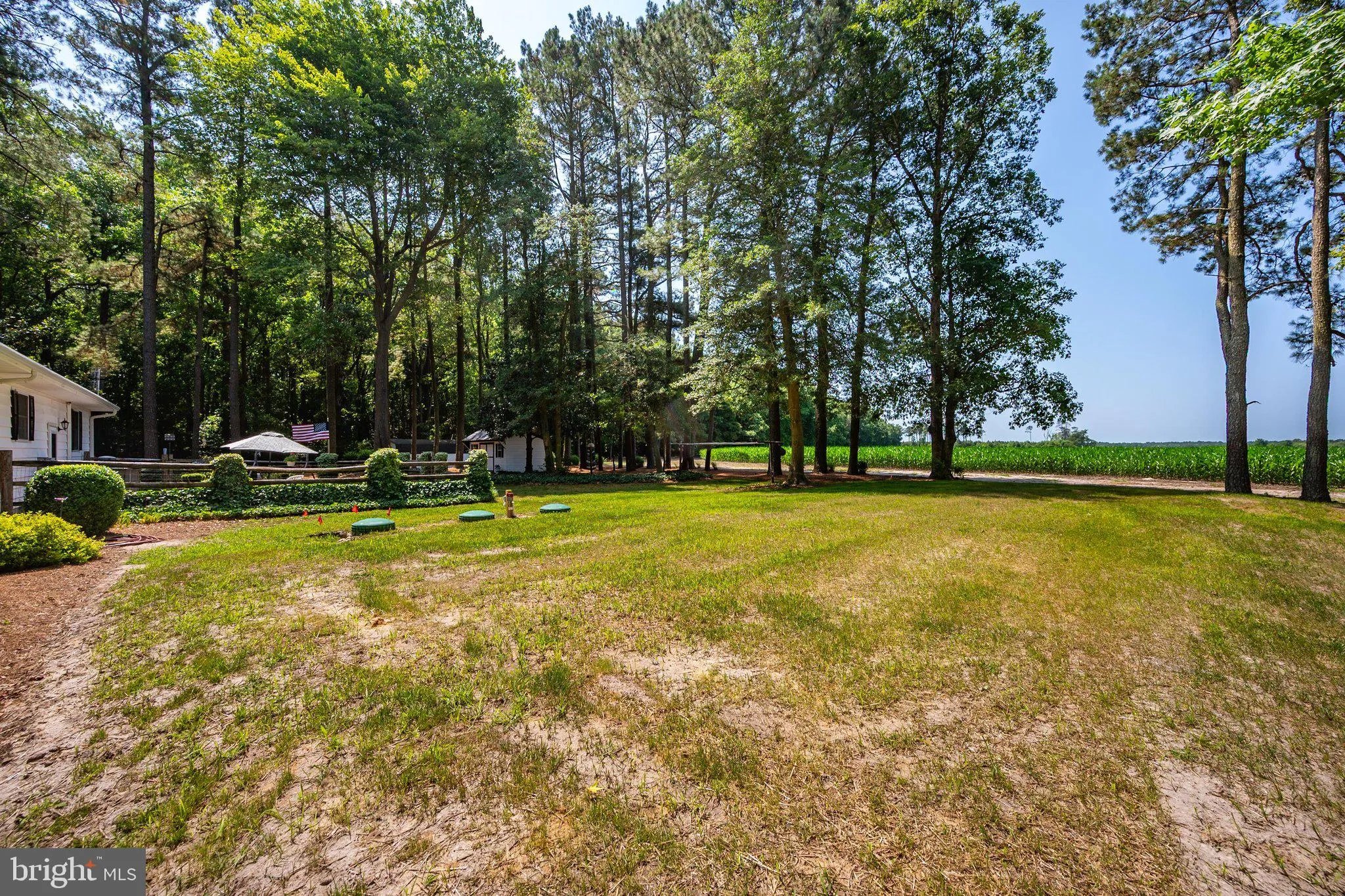 Additional image 98 of 6446 Ayres Lane Road, Snow Hill, MD 21863