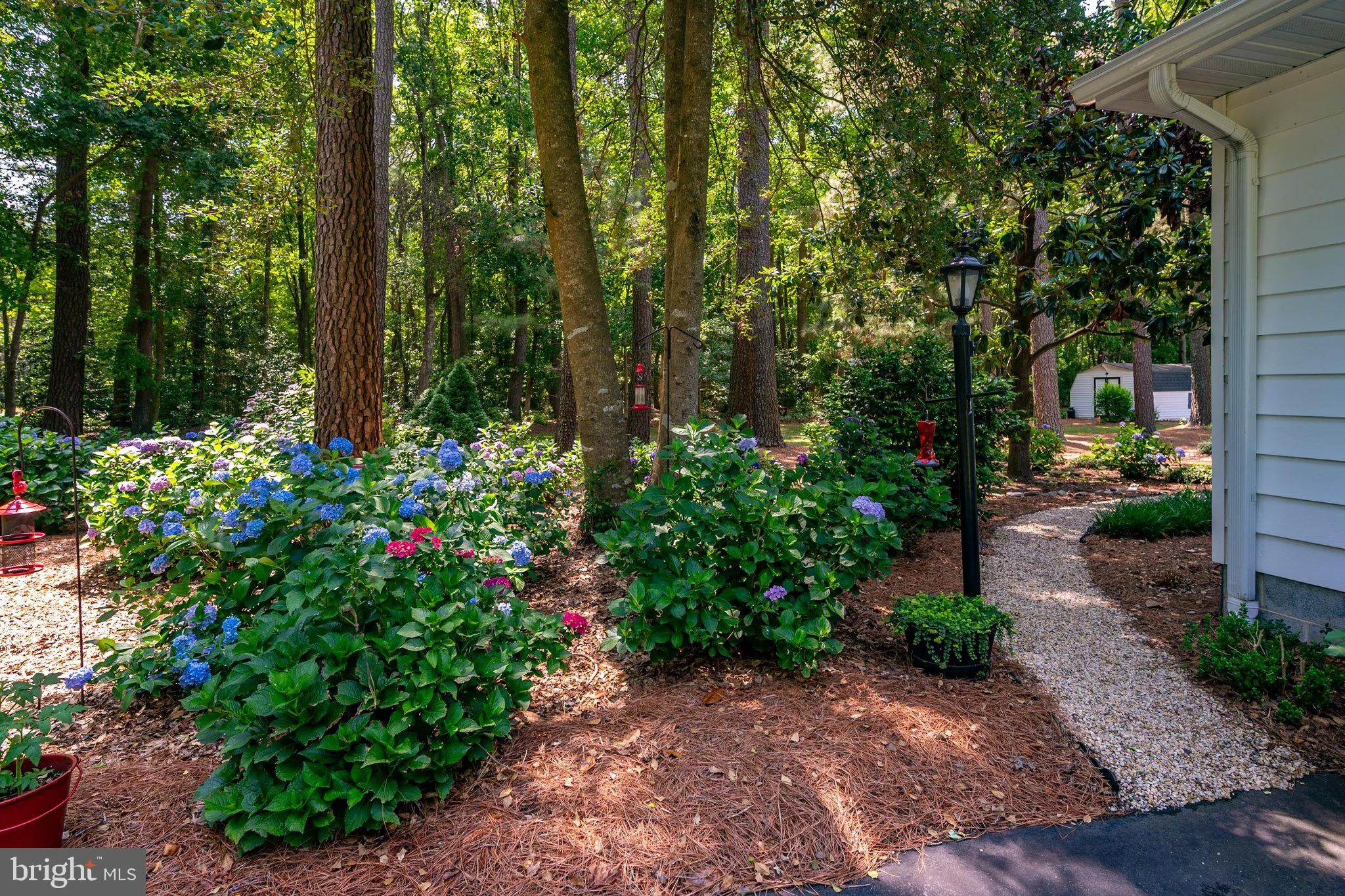 Additional image 89 of 6446 Ayres Lane Road, Snow Hill, MD 21863