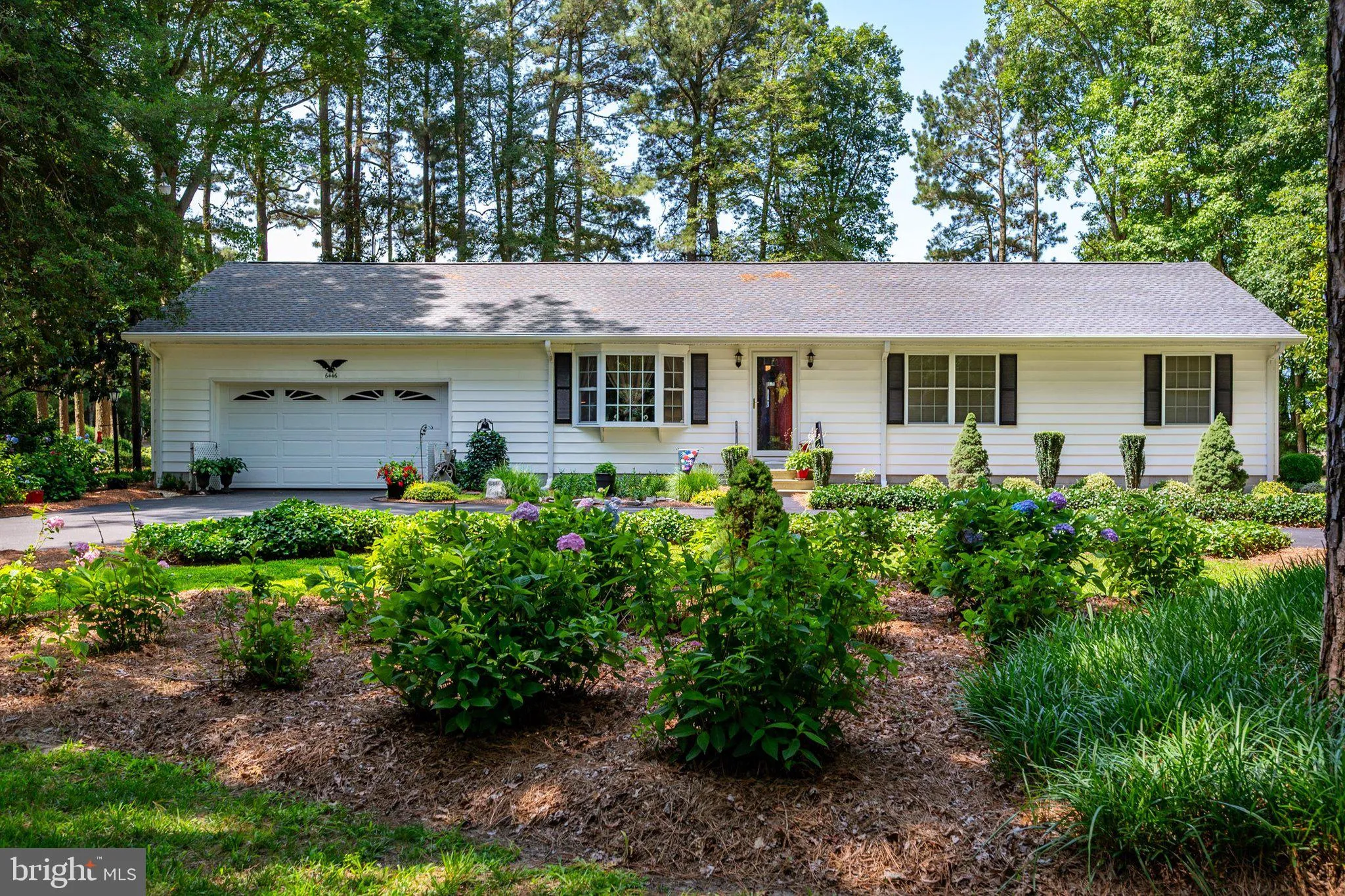 Additional image 104 of 6446 Ayres Lane Road, Snow Hill, MD 21863
