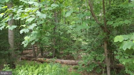 PRESIDENTIAL LAKES - Land