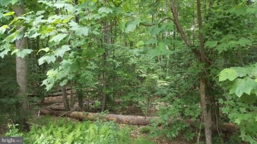 $10K PRICE REDUCTION! 3.5 acre wooded lot on cul-de-sac in Presidential Lakes. Amenities include pool, community center, playground, picnic pavilions, boat ramp and beach. Priced below tax assessment of $70,600, this lot is just waiting for you build your dream home. Minutes from Dahlgren, the 301 bridge to MD and Fredericksburg - perfect for commuters to MD or northern VA.