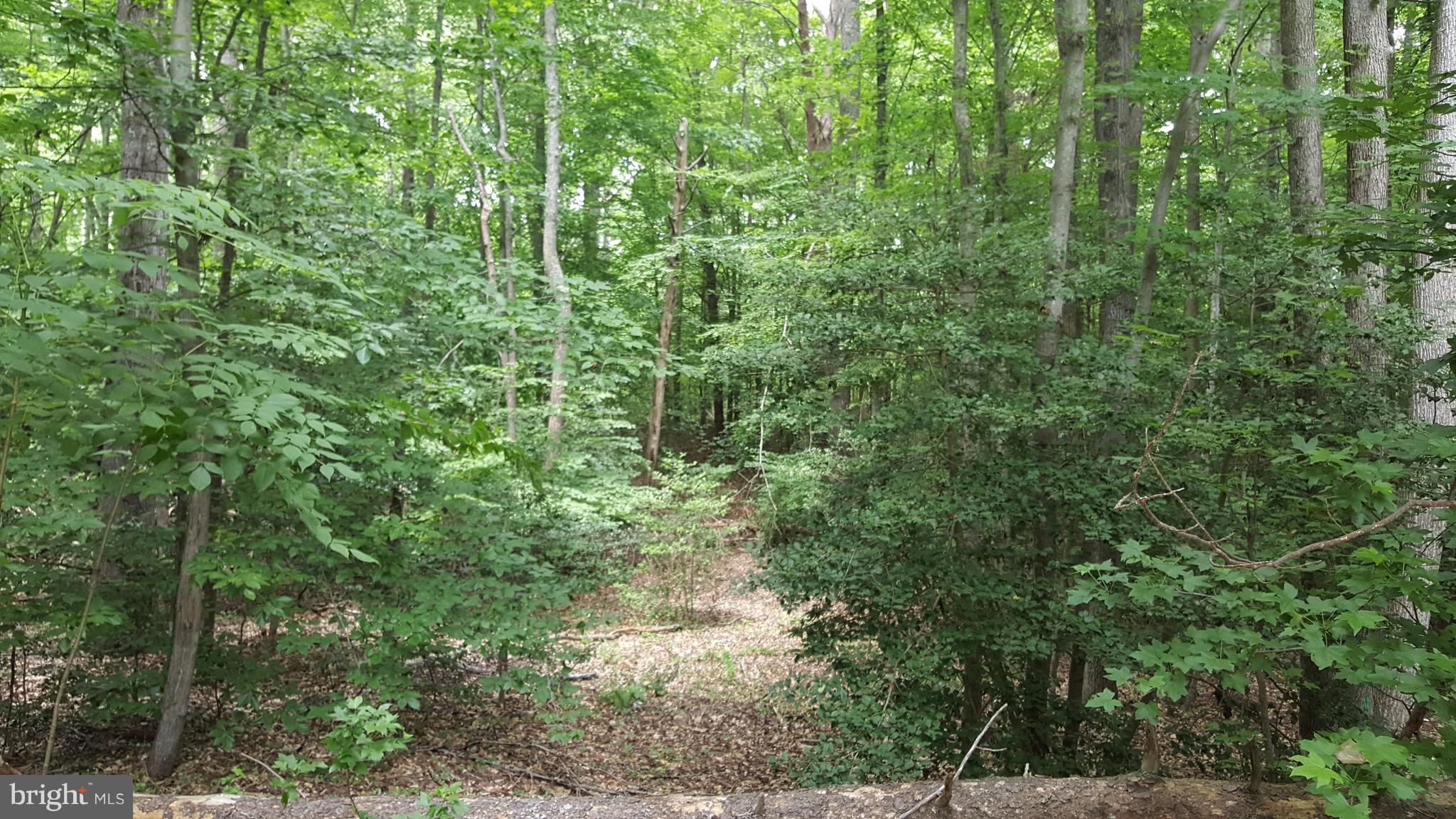 PRESIDENTIAL LAKES - Land