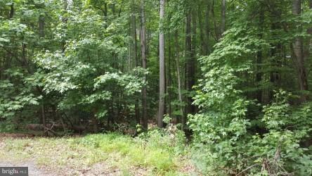 PRESIDENTIAL LAKES - Land