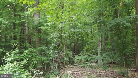 PRESIDENTIAL LAKES - Land