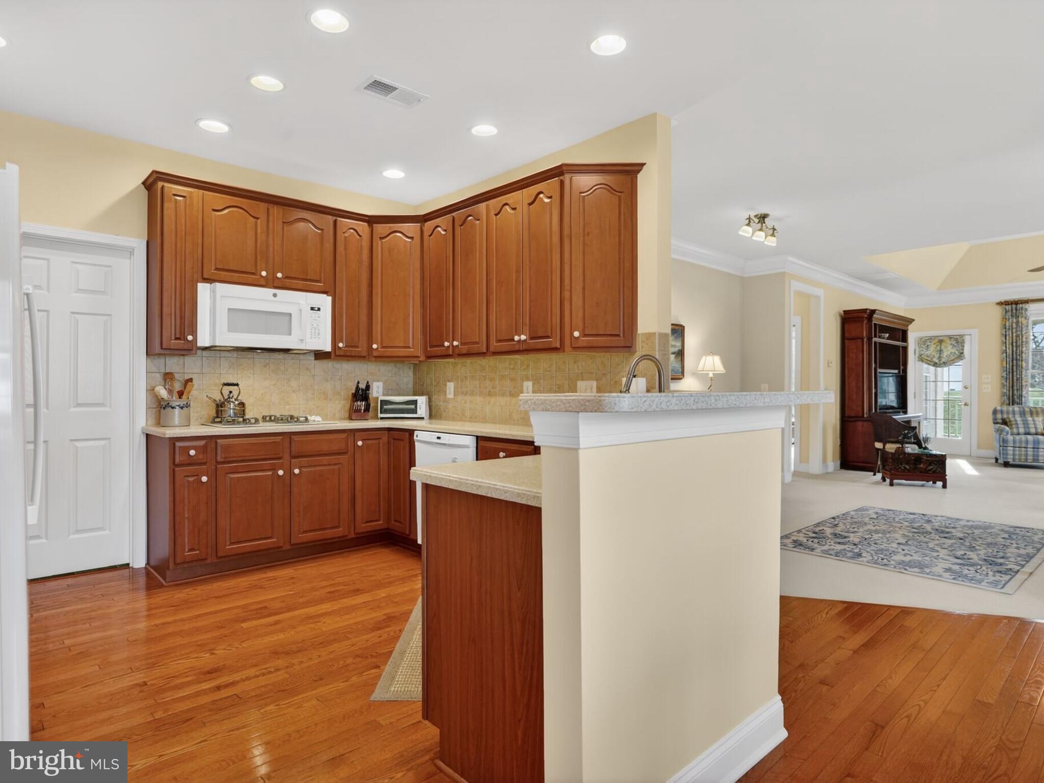 REGENCY AT DOMINION VALLEY - Residential