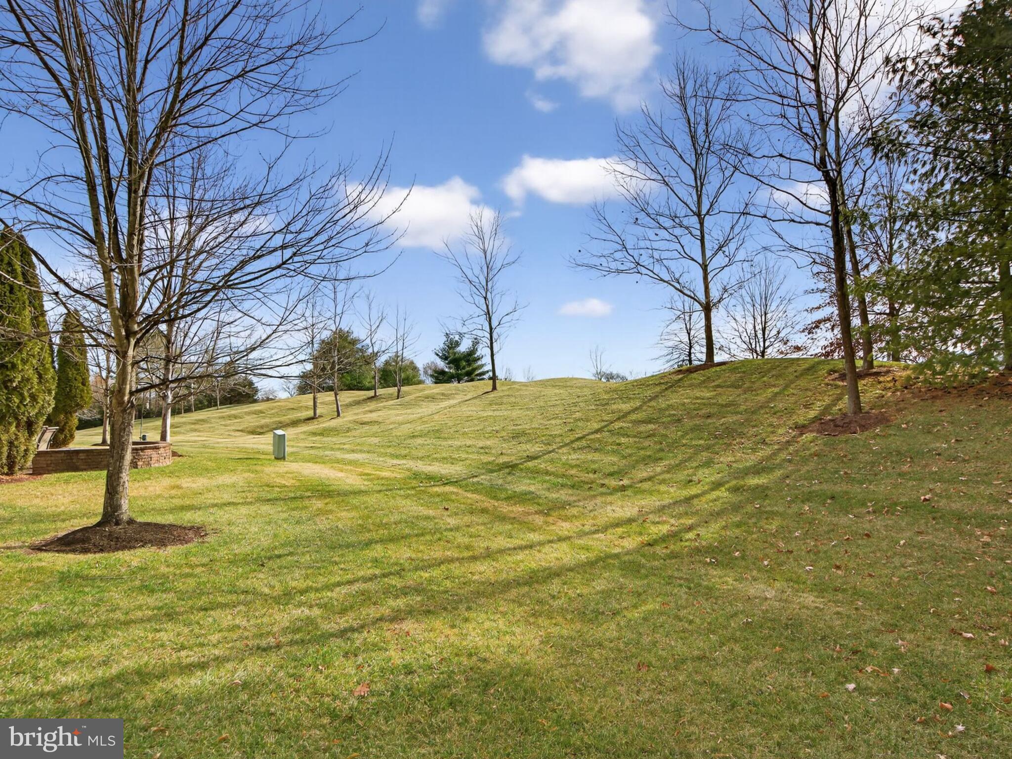 REGENCY AT DOMINION VALLEY - Residential