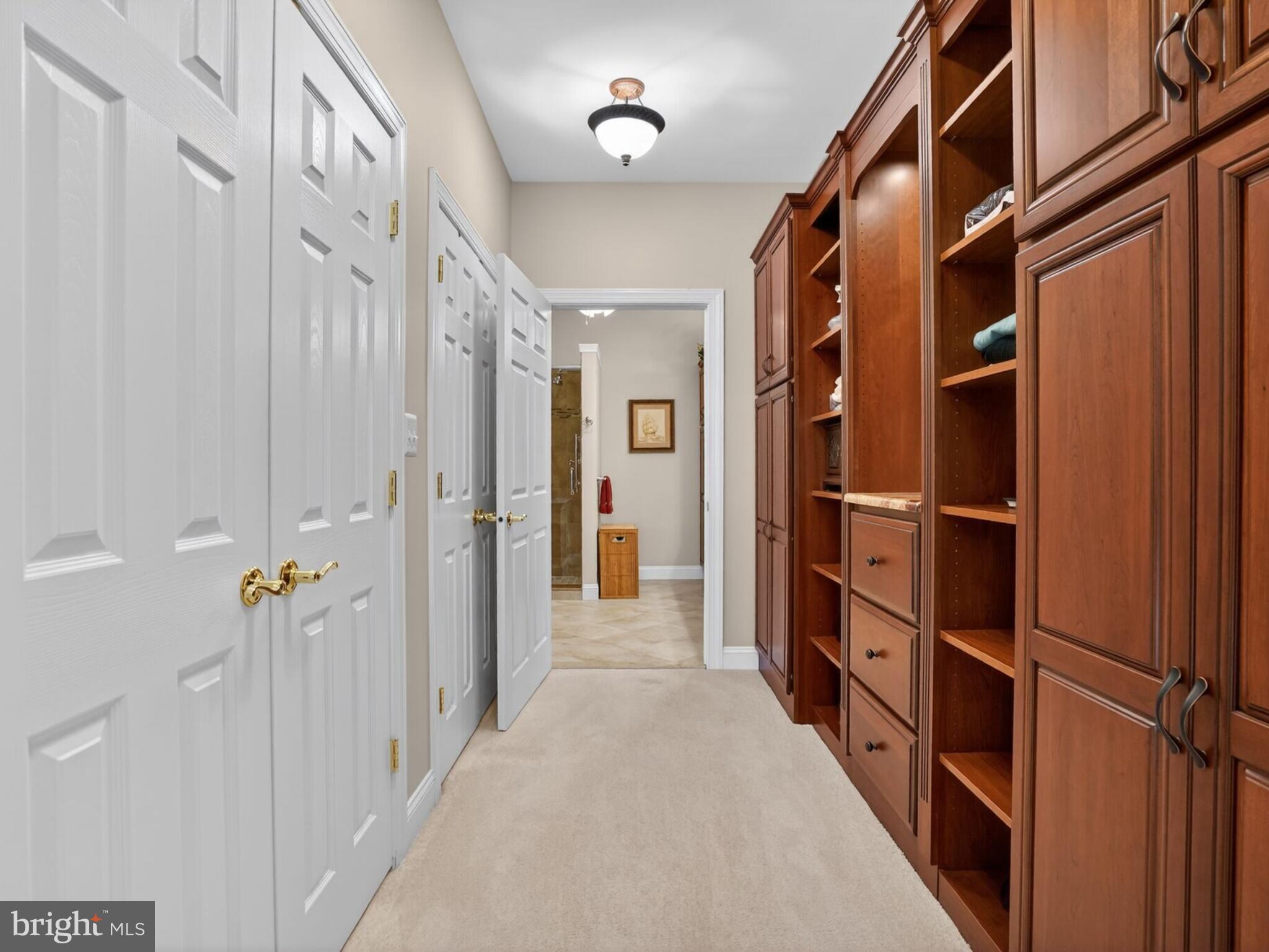 REGENCY AT DOMINION VALLEY - Residential