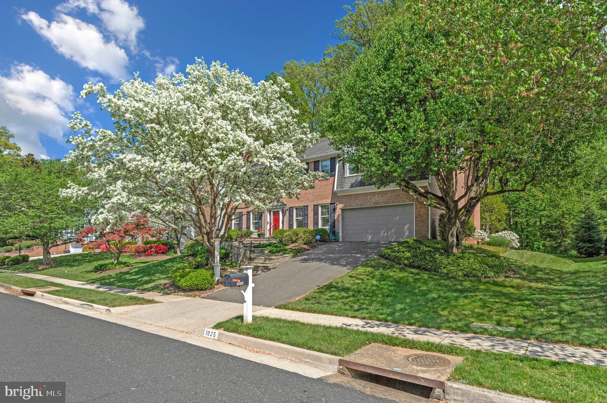1025 BROAD BRANCH COURT