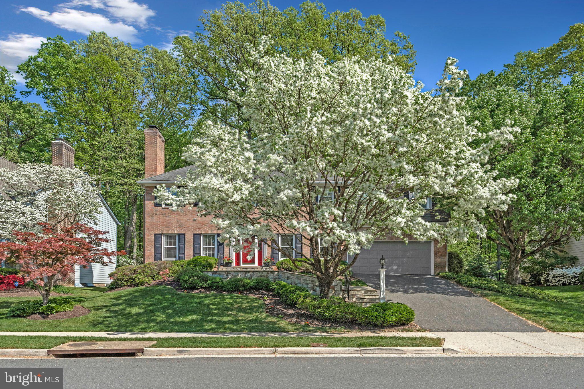 1025 BROAD BRANCH COURT