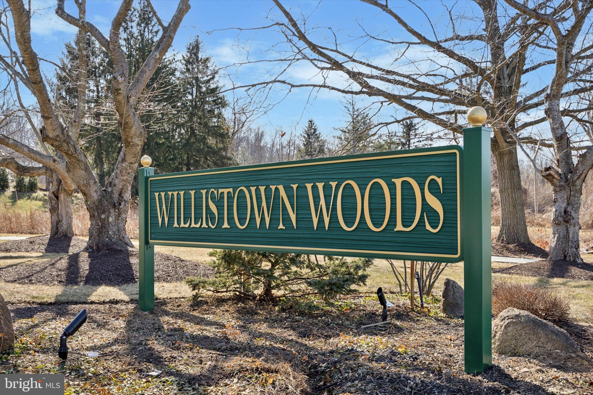 WILLISTOWN WOODS - Residential