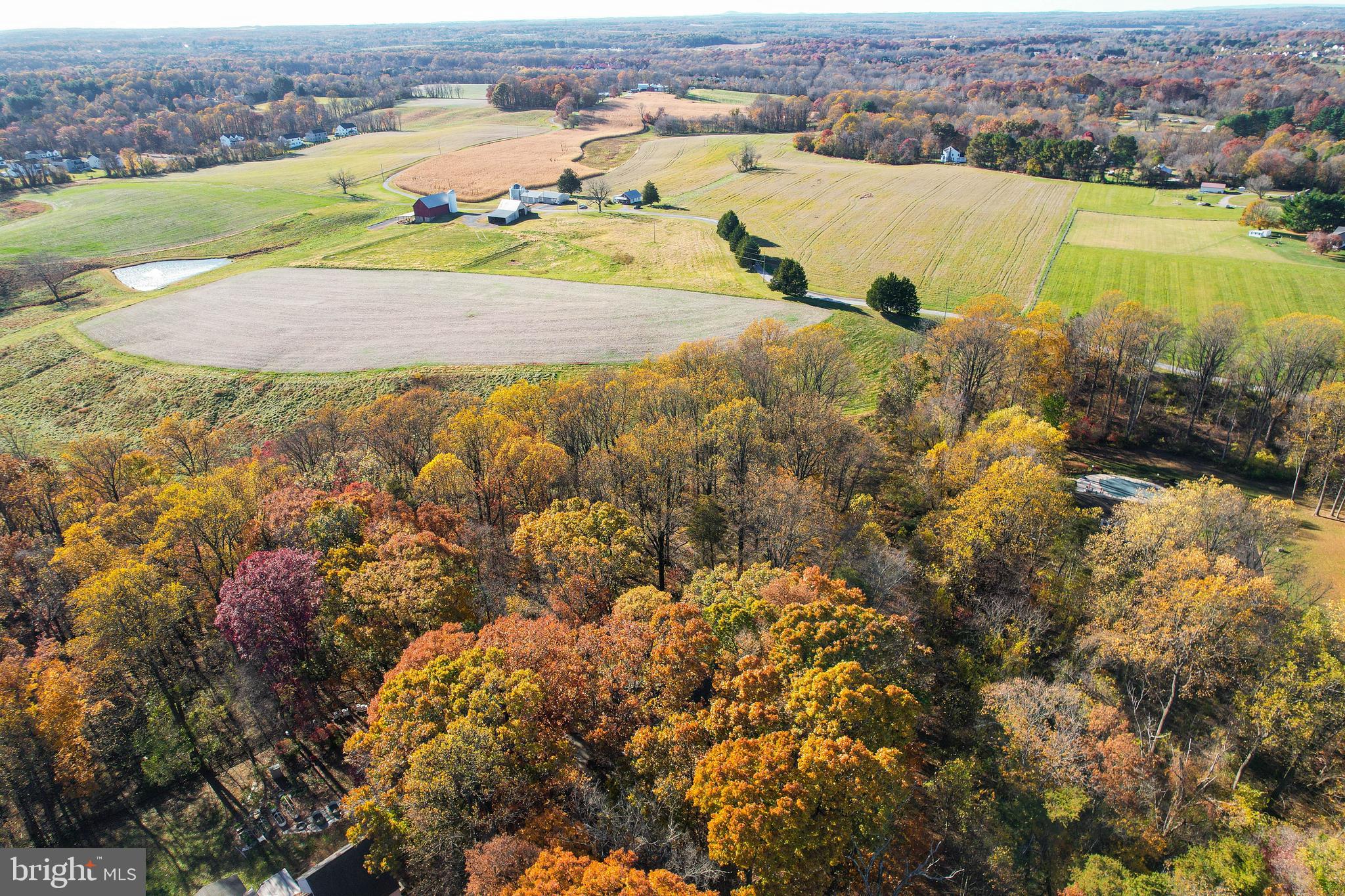 DAYTON MEADOWS - Residential
