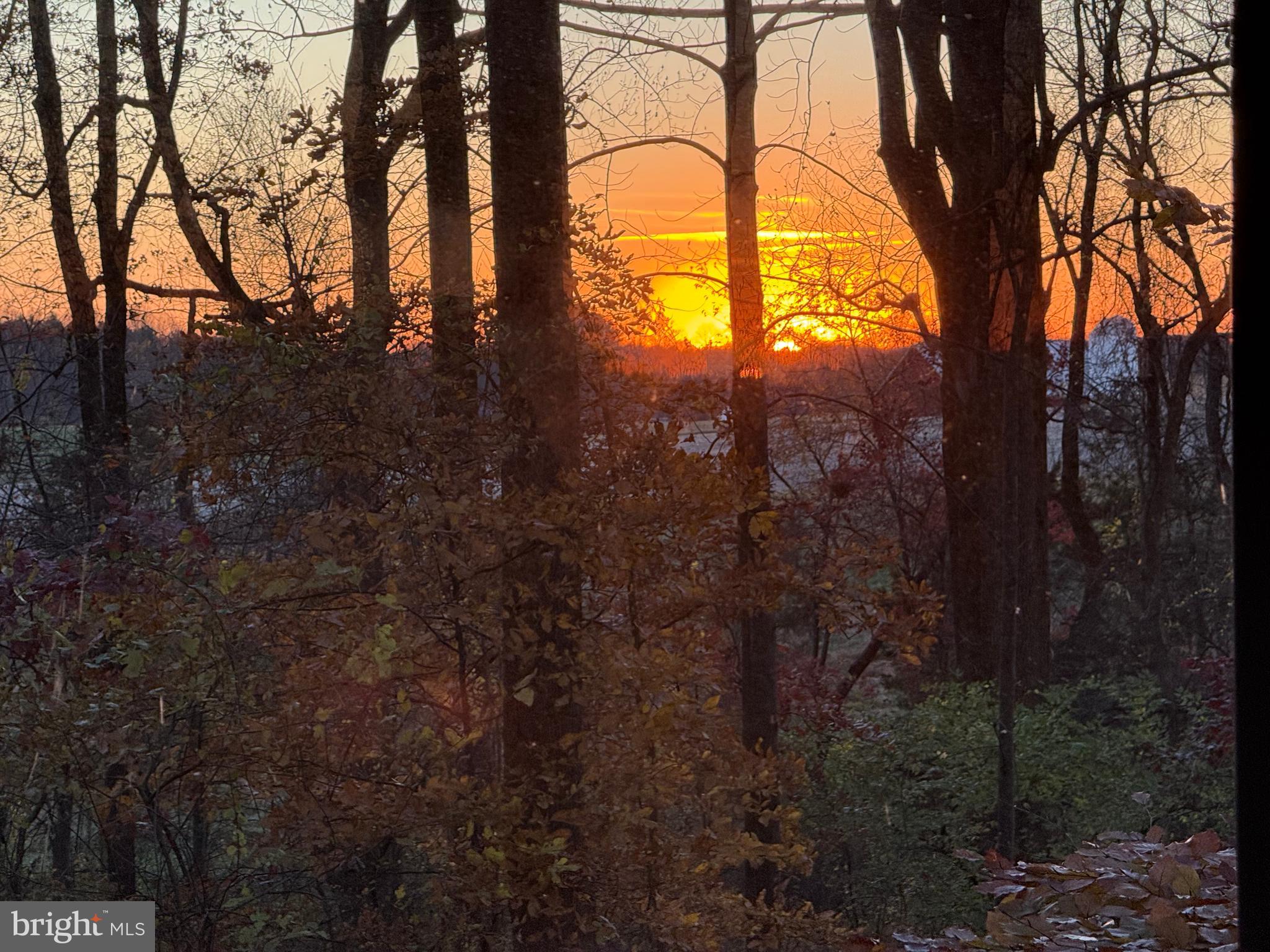 DAYTON MEADOWS - Residential