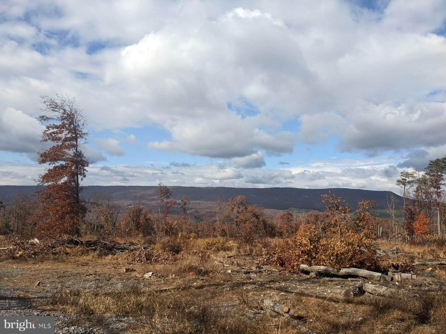 This is a Must See Property!  Unrestricted, near 90 acre Tract with All Kinds of Potential.  Perfect for Hunting, Camping, Glamping, Shooting Range, Build a Cabin or Your Dream Home.  Old Camper on Property.  Big Logs have been Harvested.  Lots of Trails for your 4-Wheeler or Horses.  Beautiful Rock Ledge and Some White Sand on Property.  Near State Game Land.  Lots of Deer, Turkey, Bear and Bobcats.  Call Now to Schedule Your Own Showing!