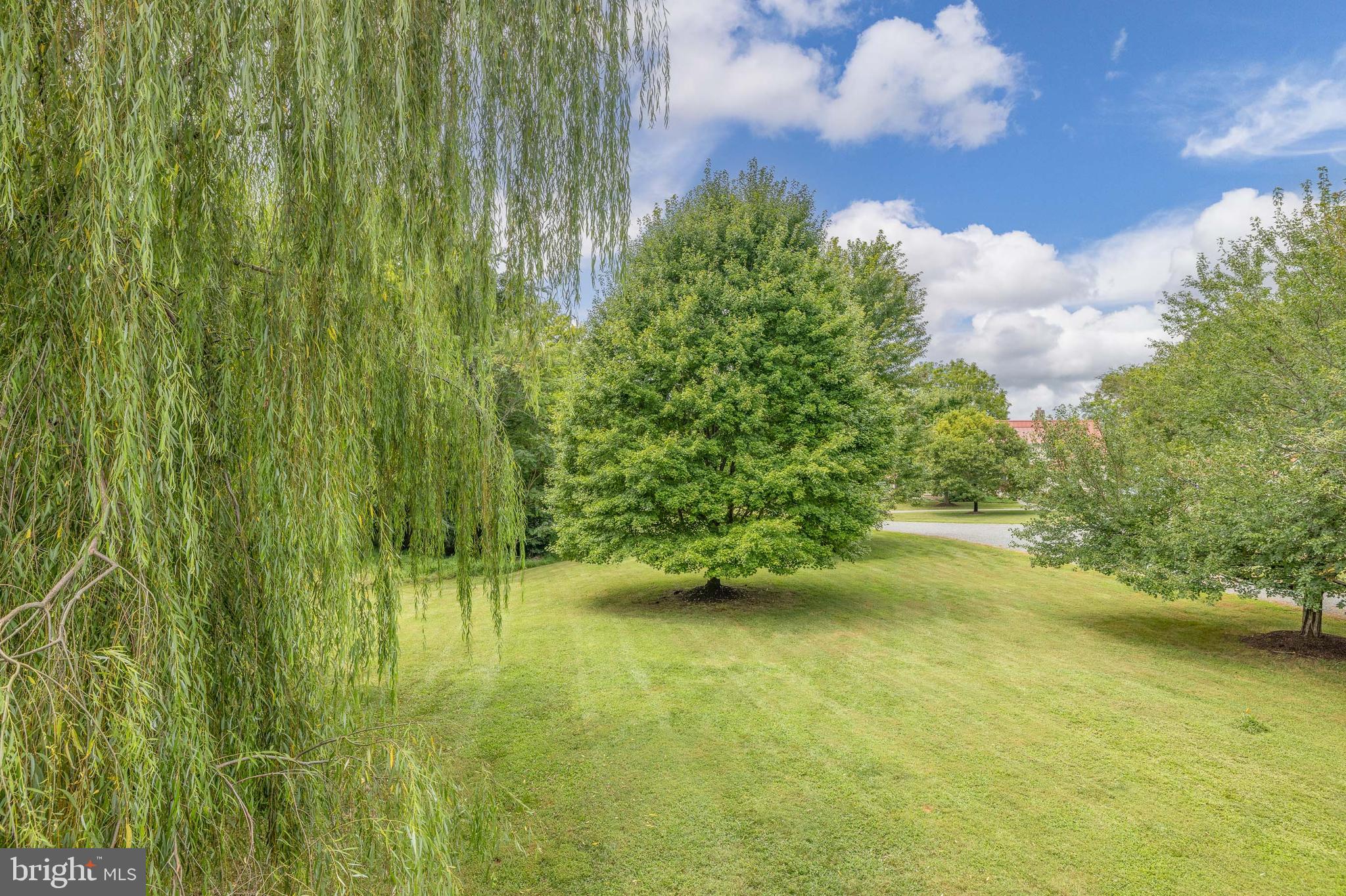 BEAR CASTLE - Residential