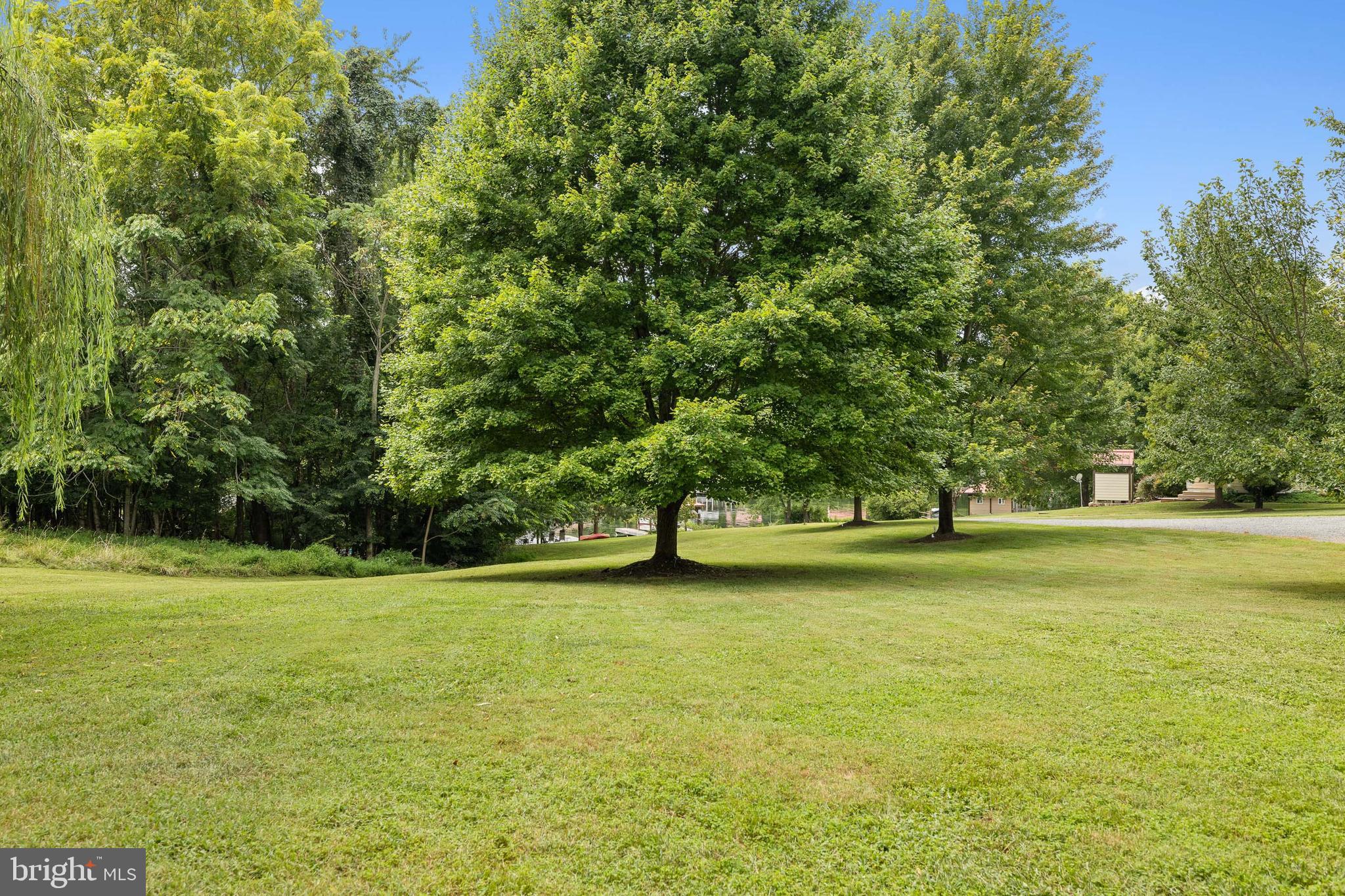 BEAR CASTLE - Residential