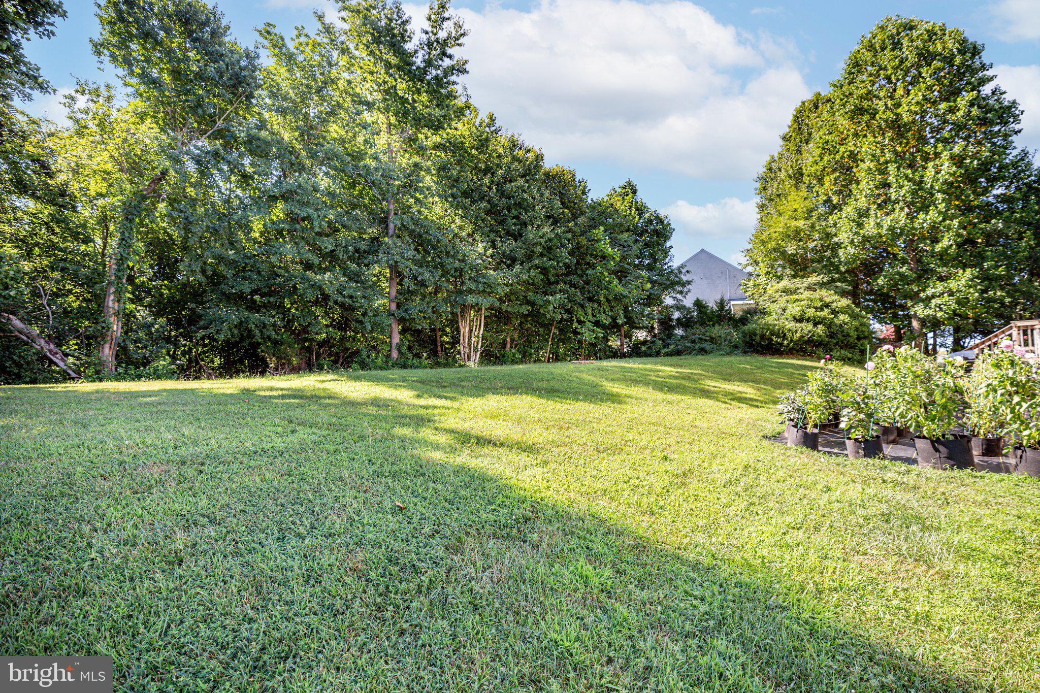 SEDGEWICK CROSSING - Residential