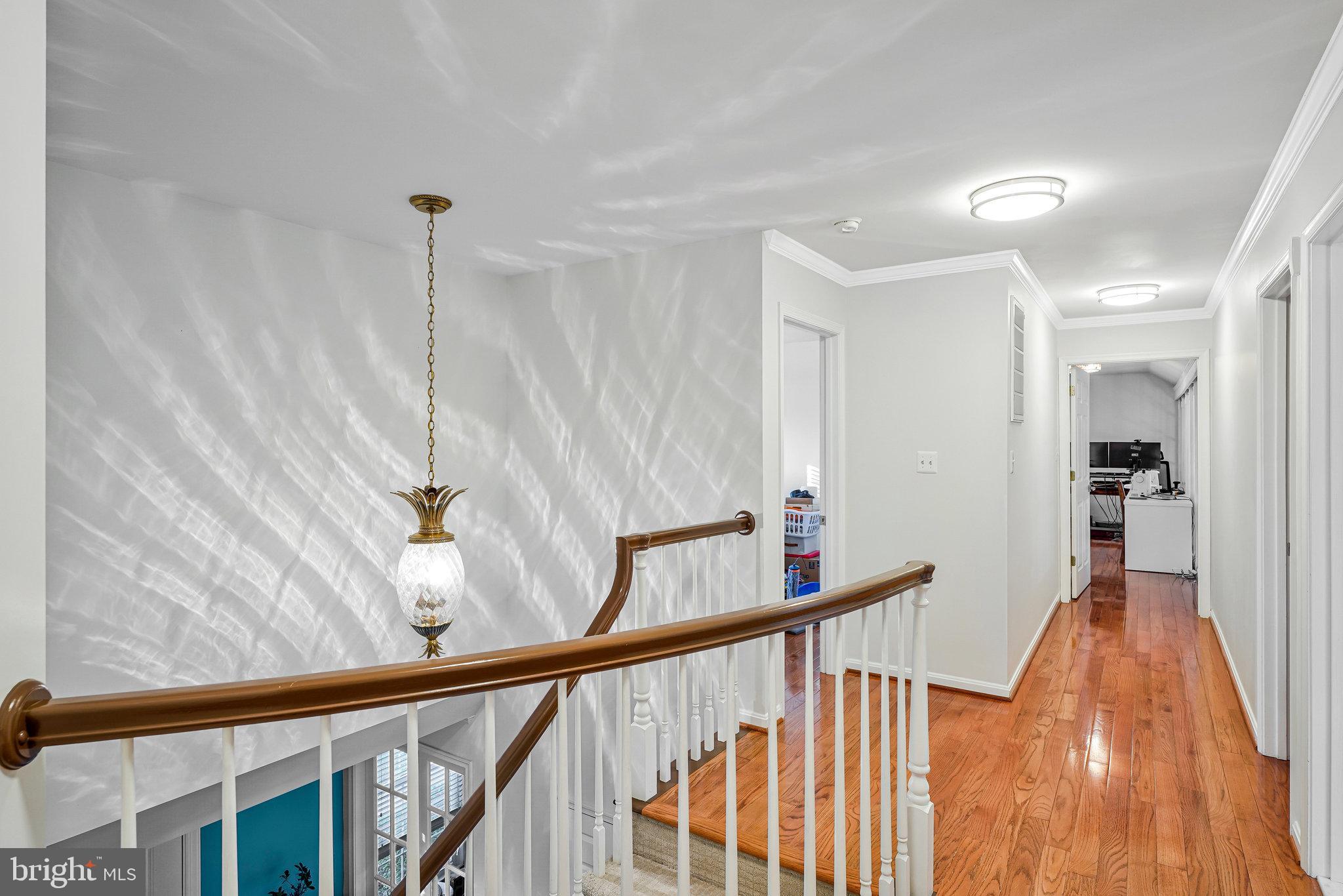 MEADOWS OF MINNIEVILLE - Residential