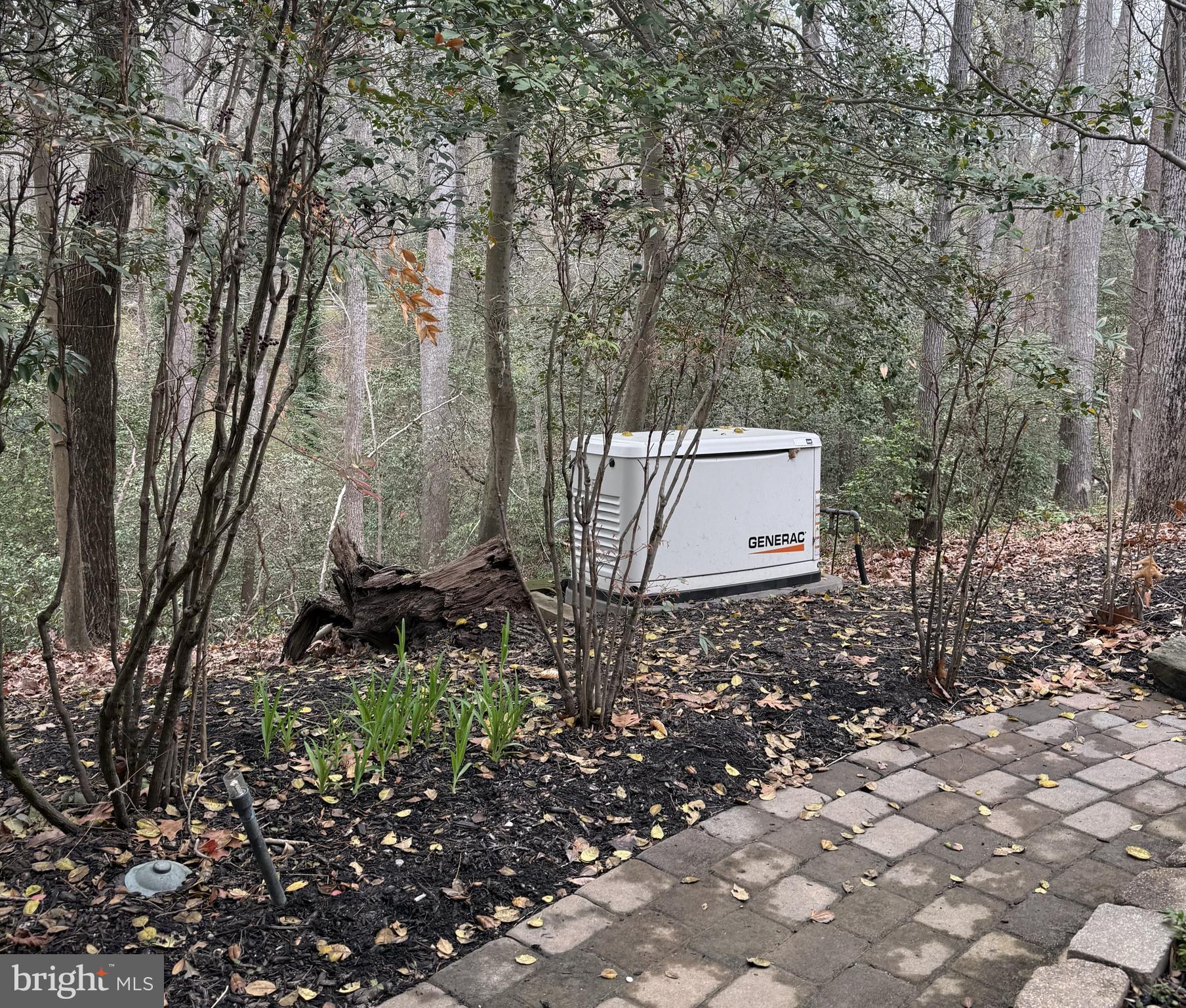 EDGEWATER - Residential