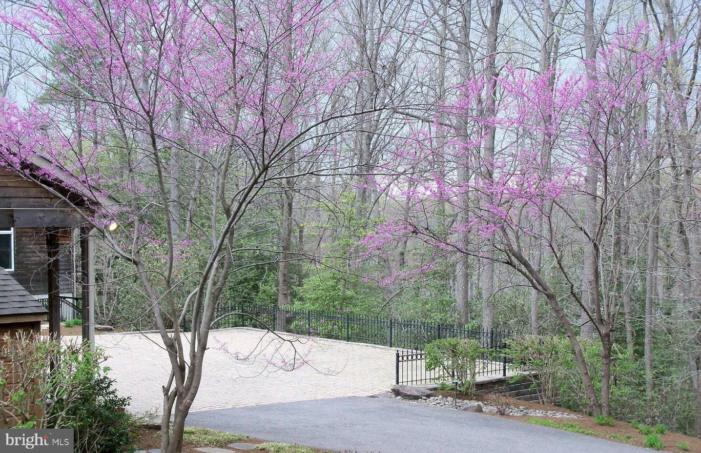 EDGEWATER - Residential