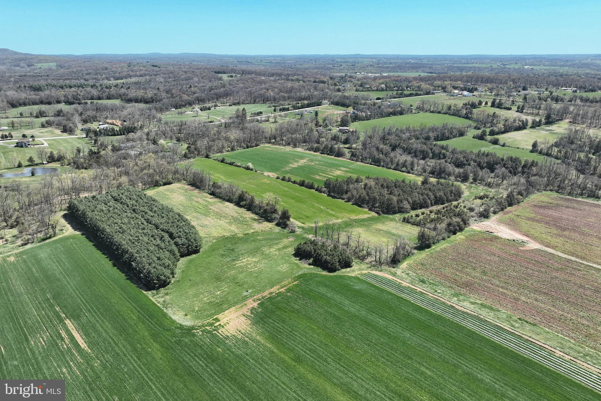 NONE AVAILABLE - Farm