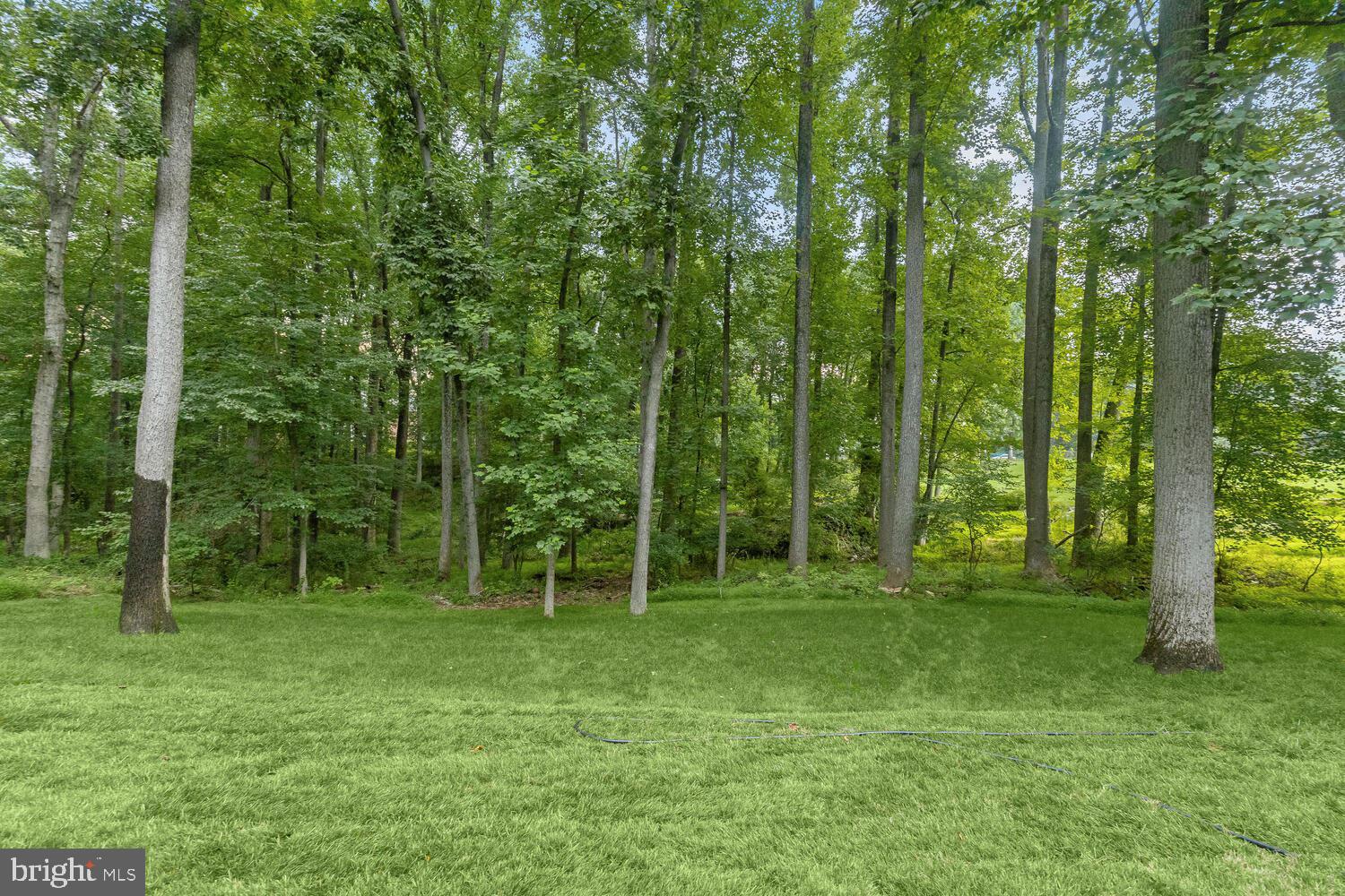 SPRINGDALE ESTATES - Residential