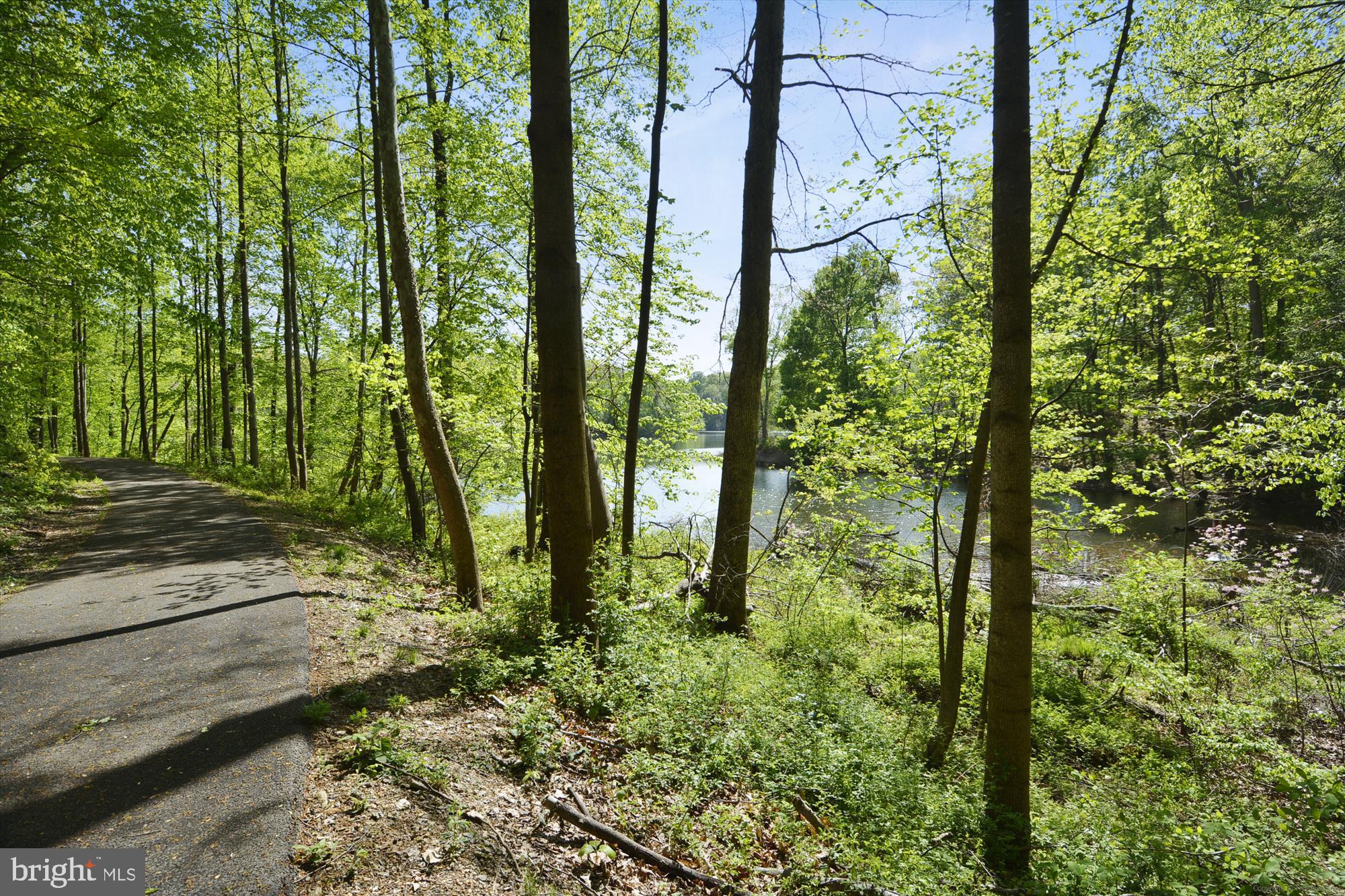 CABIN BRANCH - Residential Lease