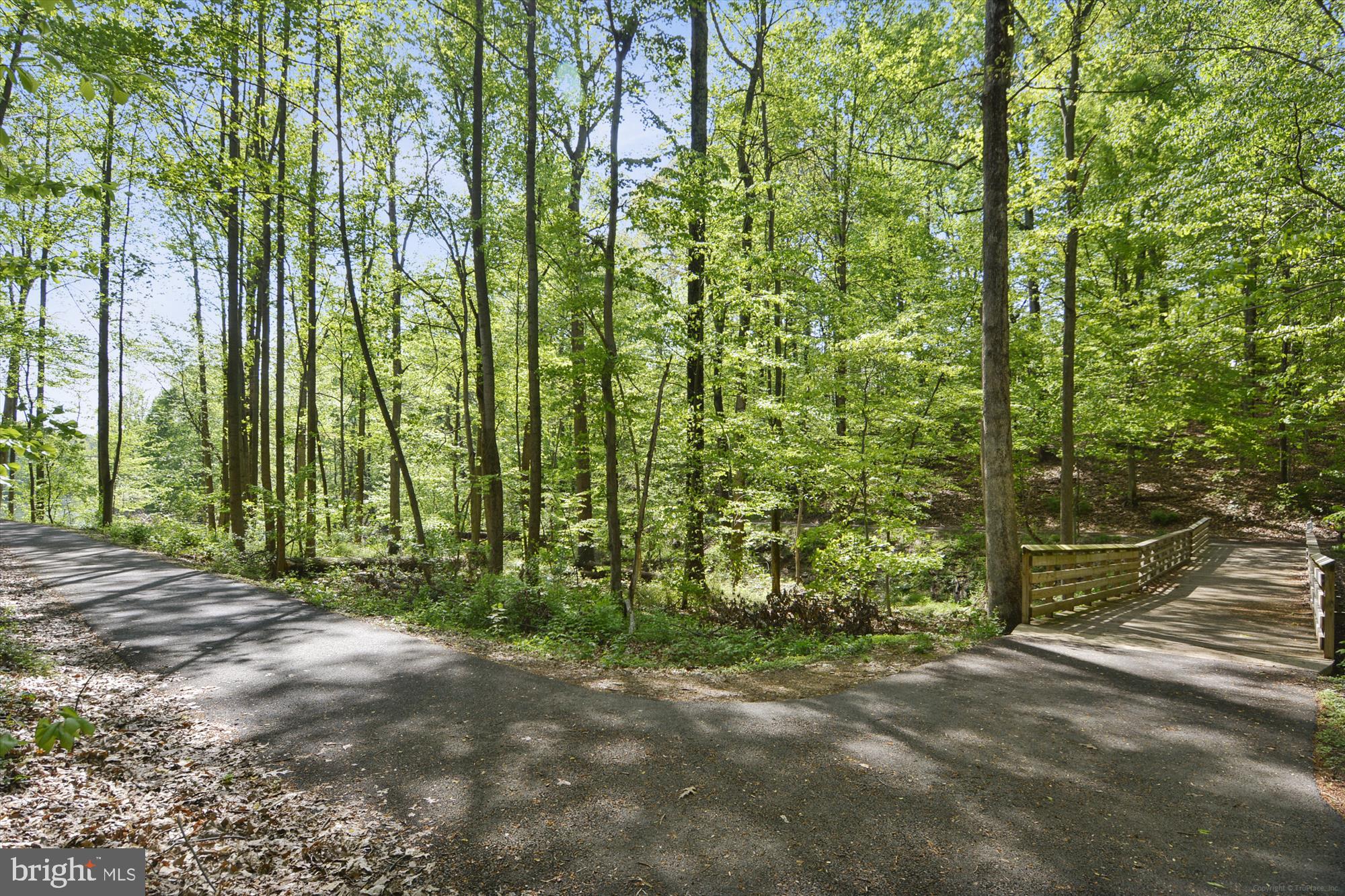 CABIN BRANCH - Residential Lease