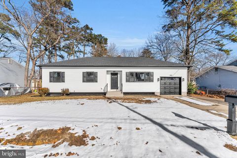 250 GARDEN AVENUE BROWNS MILLS NJ 08015