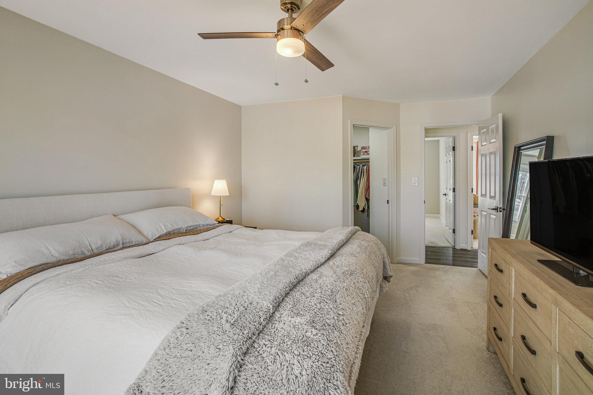 SMOKETREE - Residential