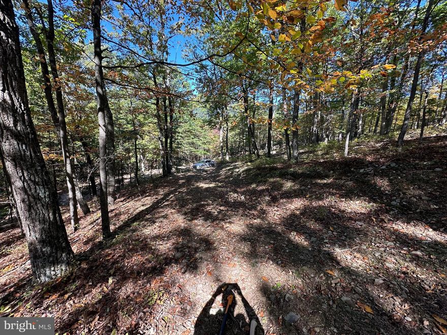 BOARDERS SHORT MOUNTAIN. TOTAL OF 3.15 ACRES. Great road access to the property. Secluded, backing up to SHORT MOUNTAIN WILDLIFE MANAGEMENT AREA on the Northeastern "tip". 8,000 acres of Public land that you have direct & easy access to. Home to many types of Game: Bear, Deer, Fox, Grouse, Squirrel, Turkey, Bobcat & Coyote. Fish: Trout, Bass & Panfish. More than 70 Primitive campsites developed. The 3.15 acres has an existing Driveway/Entrance  w/ level pad already there. Boarders two roads providing great accessibility to the entire property. Electric nearby. Possibilities for enjoyment with this property are truly limitless. Camp - Build - Hunt - Recreation - Residential