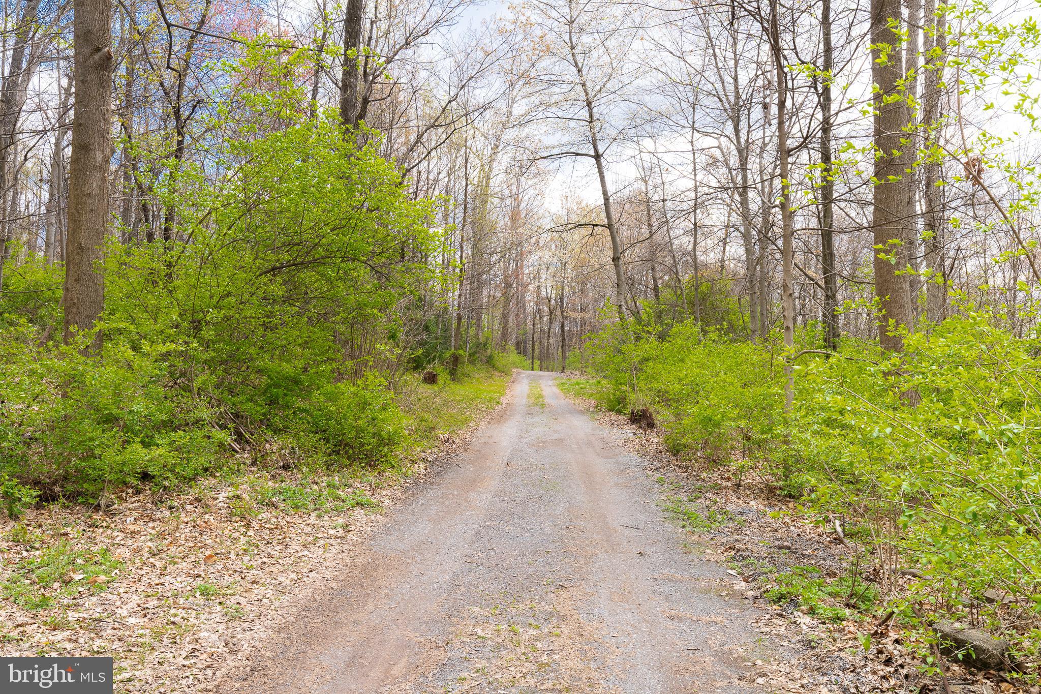 0 MOUNTAIN LANE LOT 0