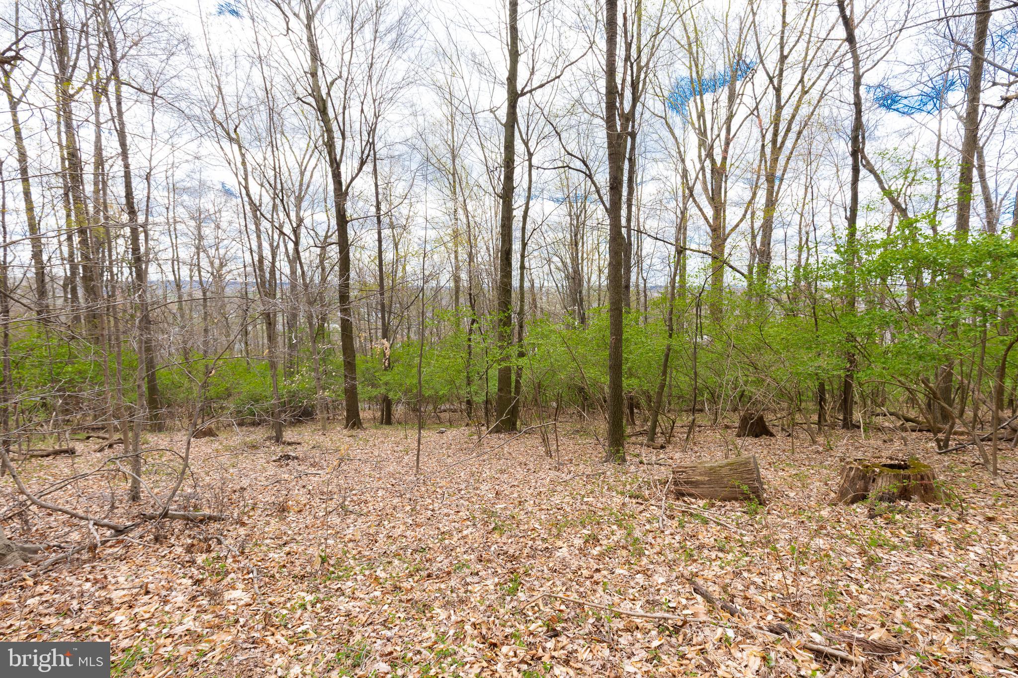 0 MOUNTAIN LANE LOT 0