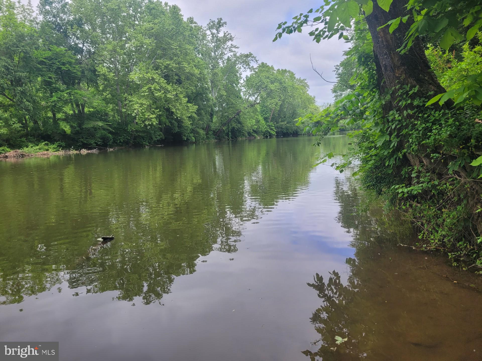 CACAPON RAPIDS - Land