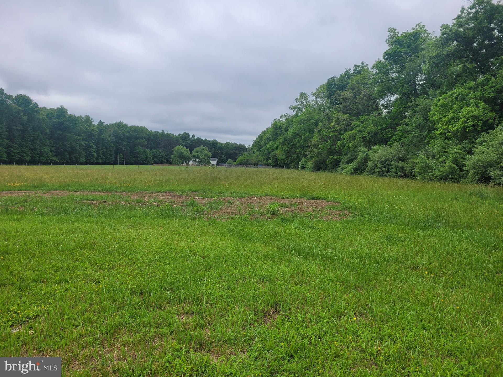 CACAPON RAPIDS - Land