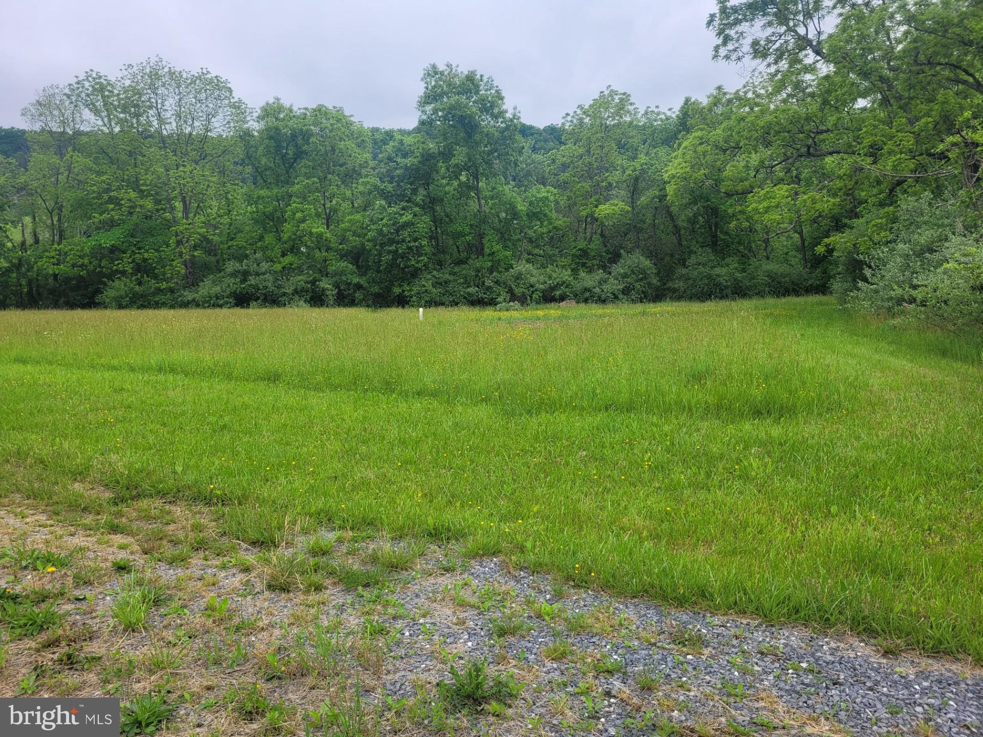 CACAPON RAPIDS - Land