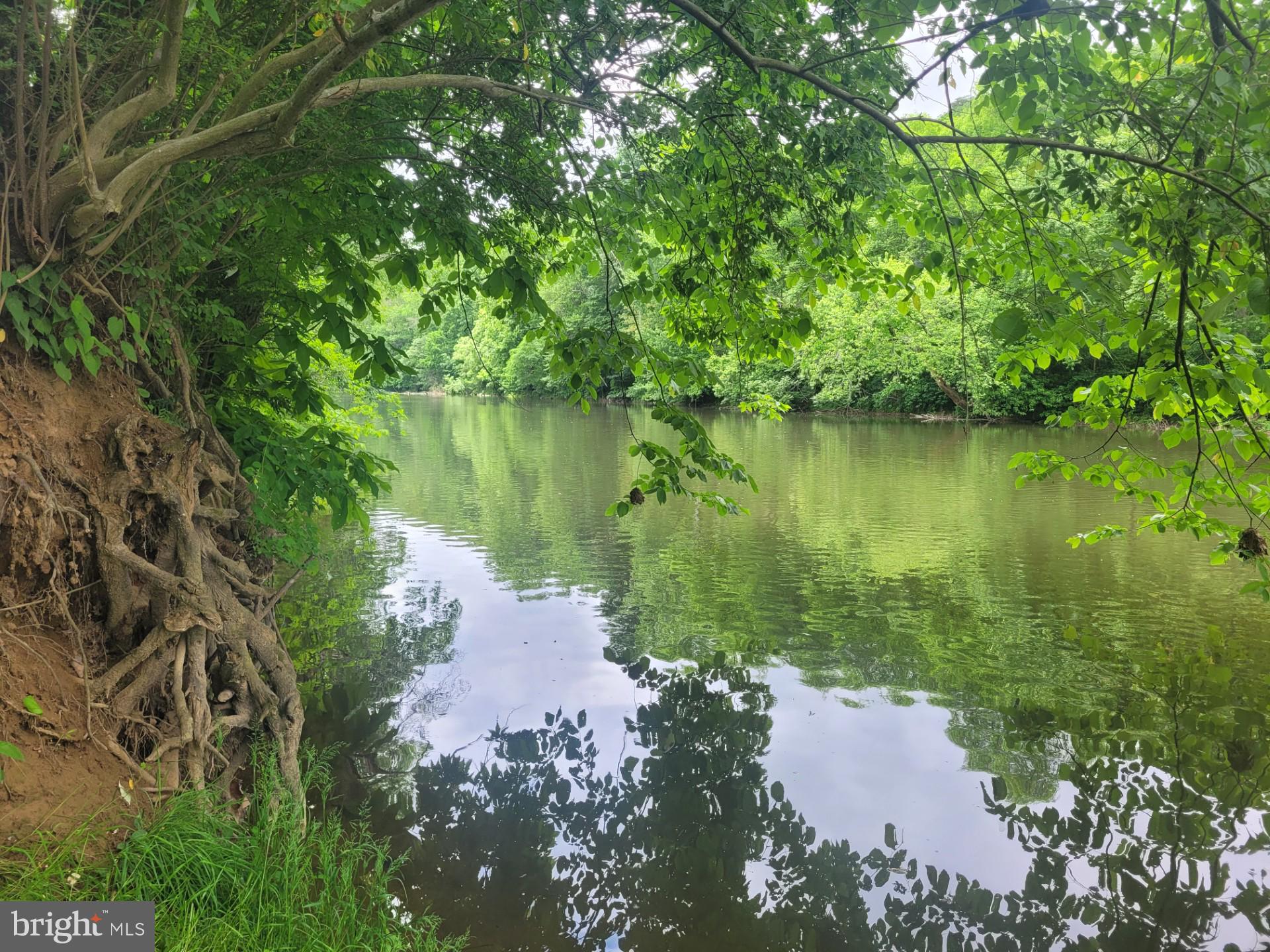 CACAPON RAPIDS - Land