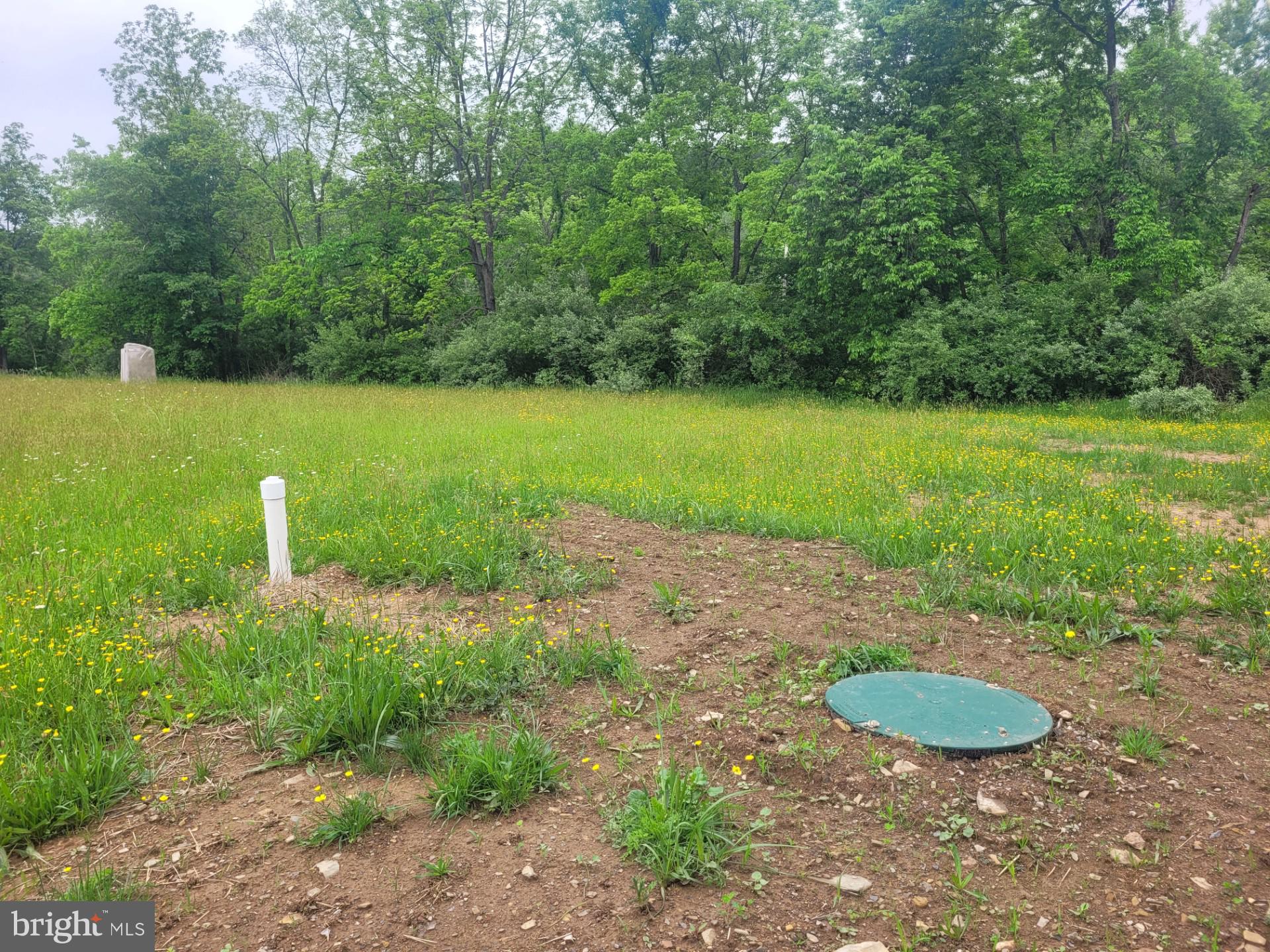 CACAPON RAPIDS - Land