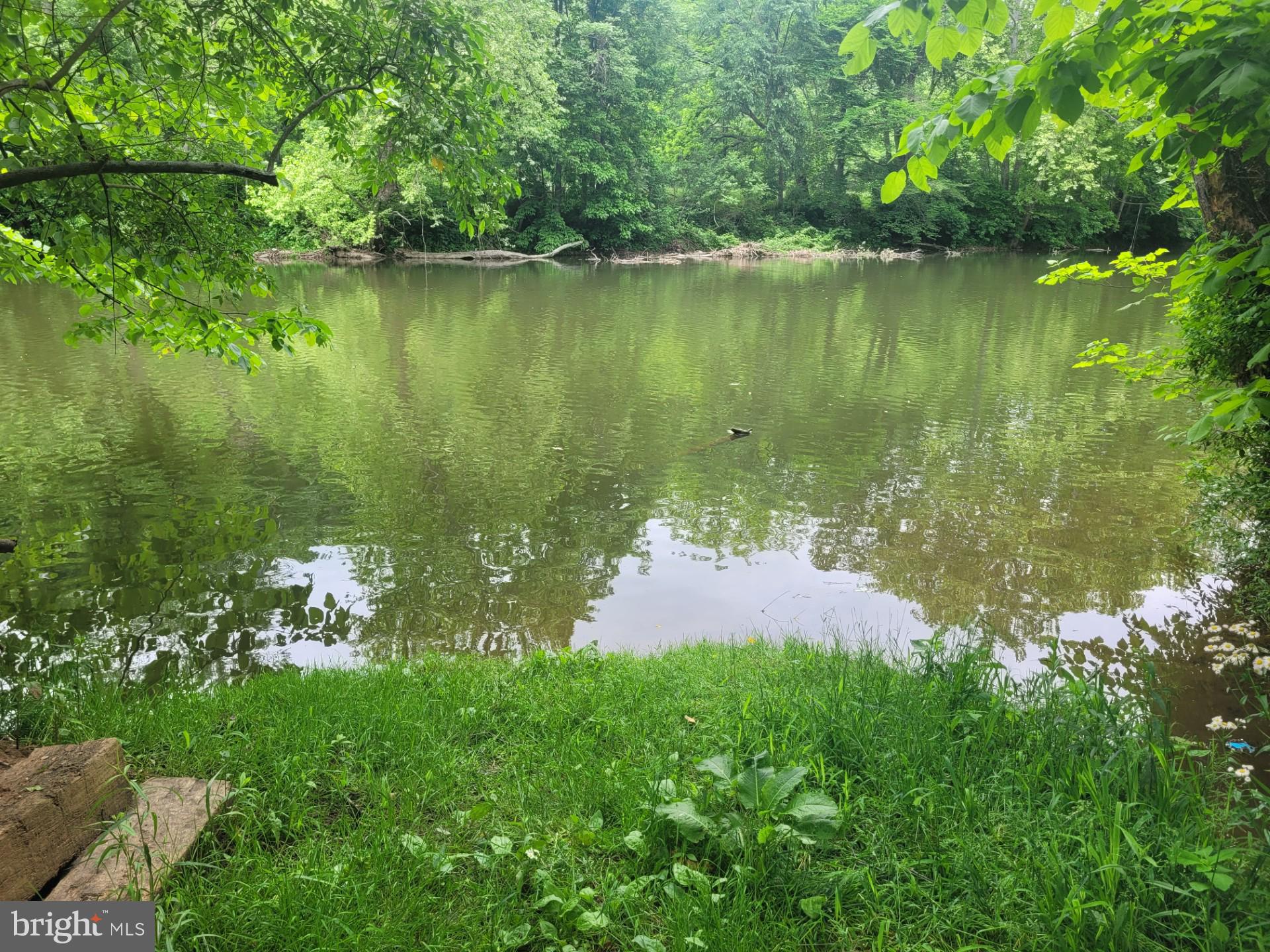 CACAPON RAPIDS - Land