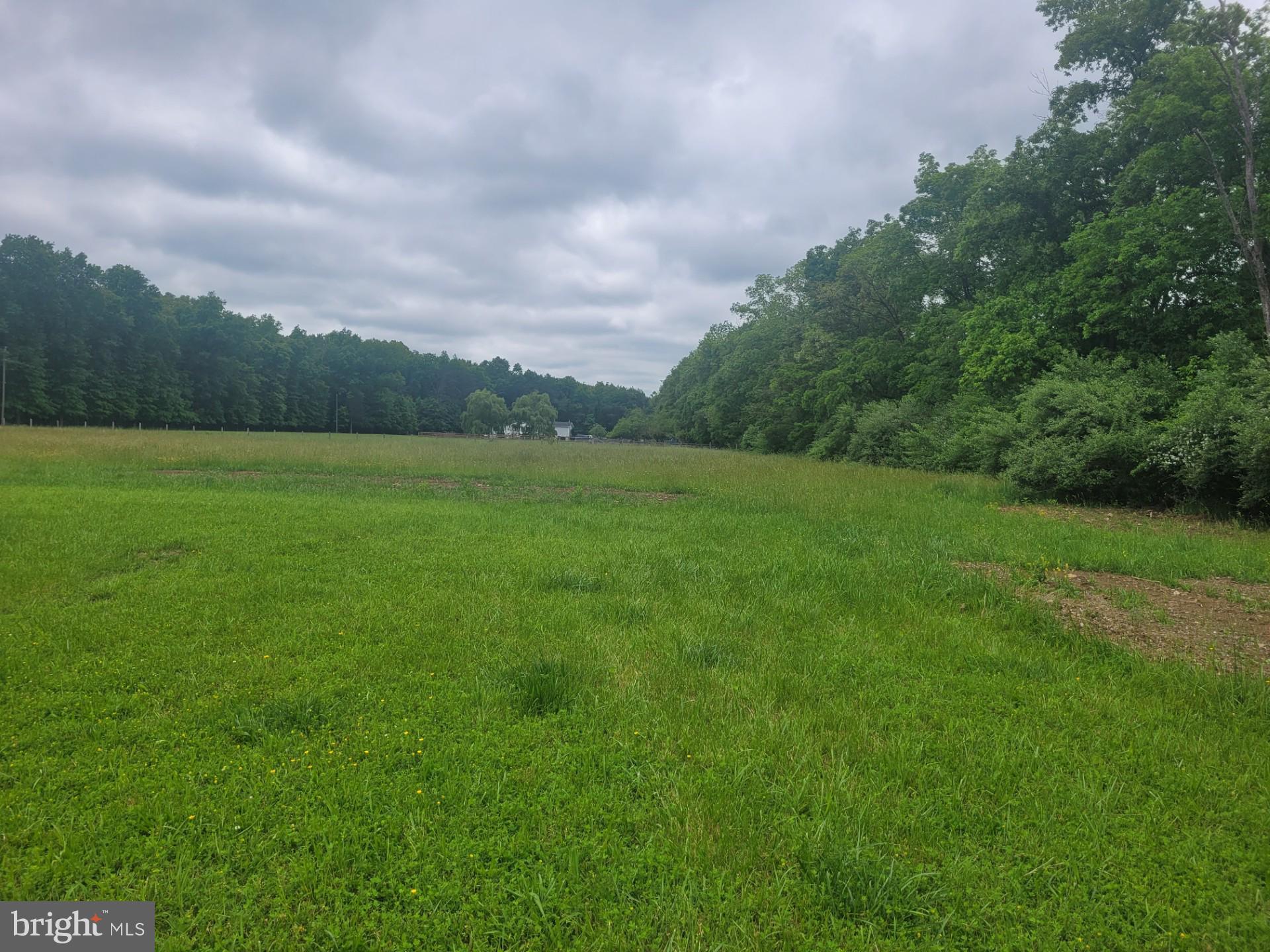 CACAPON RAPIDS - Land