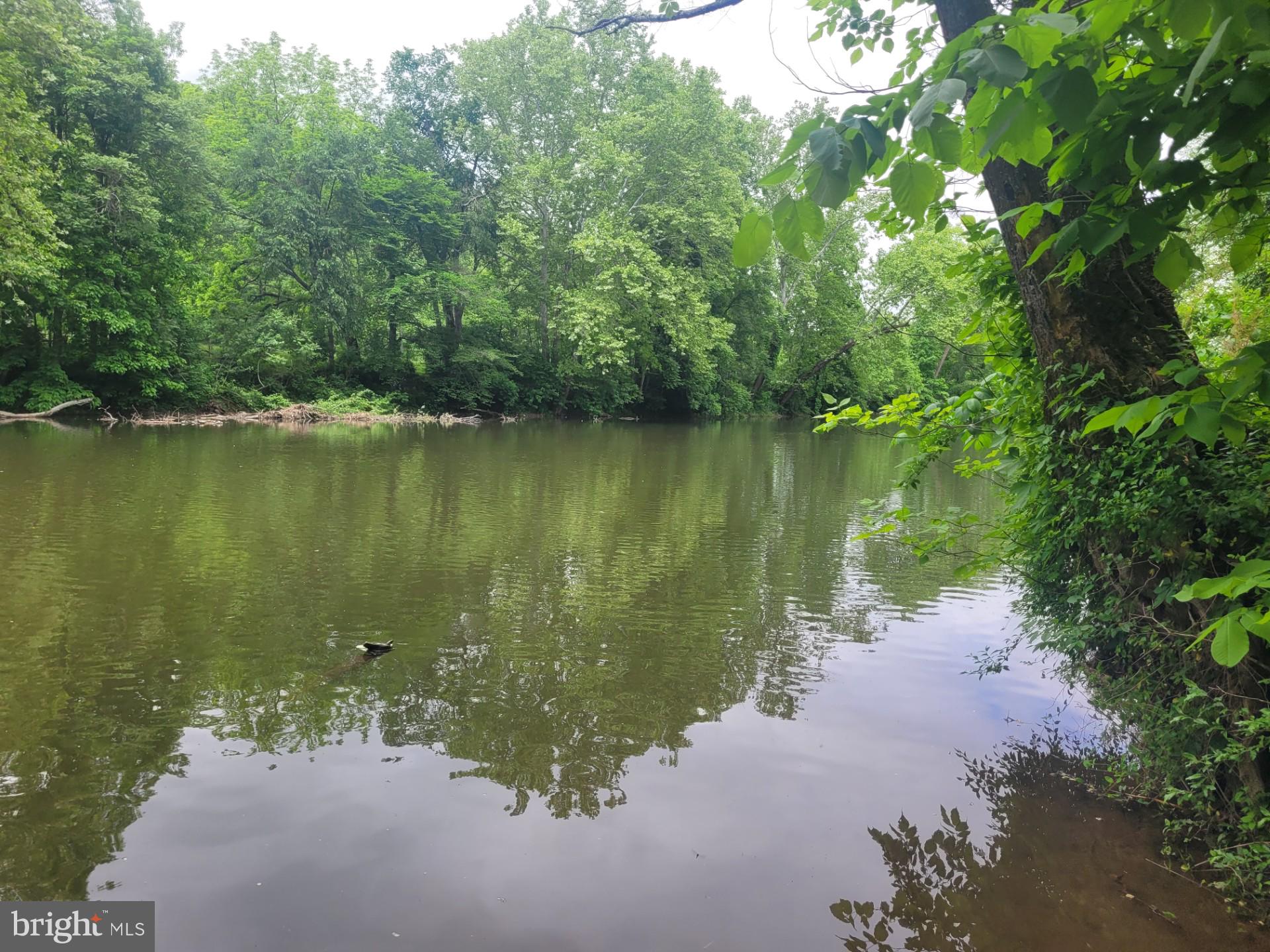 CACAPON RAPIDS - Land