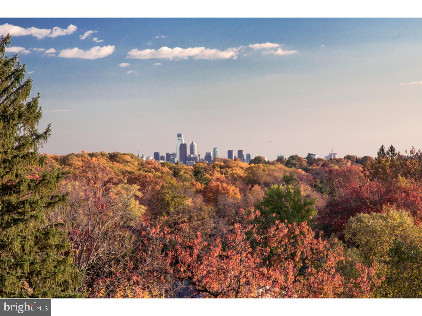 CHESTNUT HILL - Residential