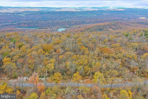 Vacant Land For Sale - LOT 56 Bear Trail<br/> Frederick County, WINCHESTER, VA 22602